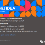 IDEA 2021.1正式发布，新特性，骚操作