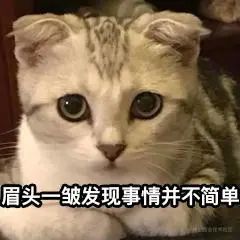 10F62470.jpg 图片