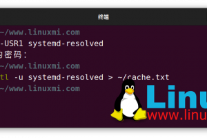 Linux查看和刷新 DNS 缓存