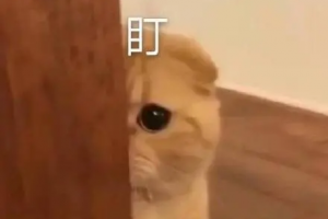 Guava 骚操作，10分钟搞定日志脱敏需求！