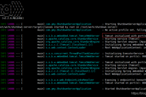 不要使用kill -9 结束java进程