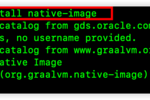 SpringBoot3新玩法AOT优化
