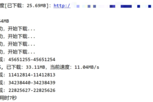 Java文件断点下载