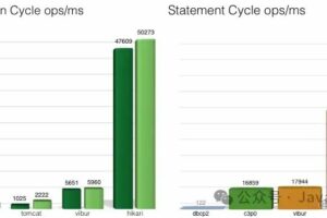 HakariCP为什么这么快