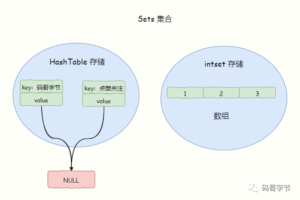 Redis Set 底层数据结构实现原理与实战