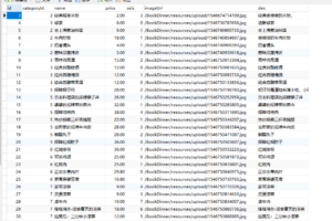 erupt一个低代码、全栈类框架,几行代码即可实现一个管理系统