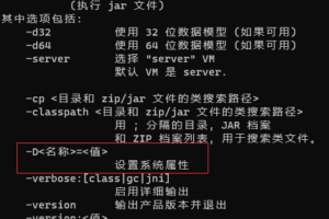 java -d 参数（系统属性） 和 环境变量