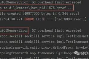 Out of Memory？别怕！这个Java容器技巧让你的应用永不宕机！